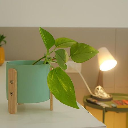 Apartament La Casa Blu Bari Zewnętrze zdjęcie
